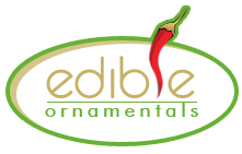 Chillies are like love - you'll always want more no matter how bad you got burnt the last time. Come visit us in Chawston, Bedfordshire.