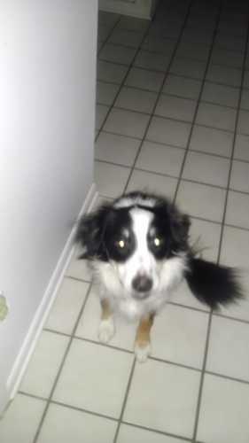 MrGreeben's profile picture. I love mo$$y