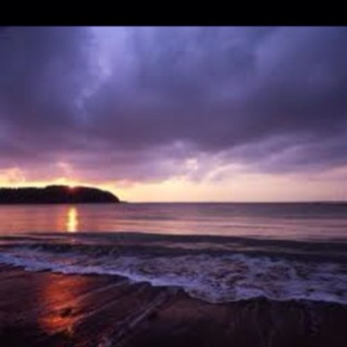 takopara2011's profile picture. Float in this world.