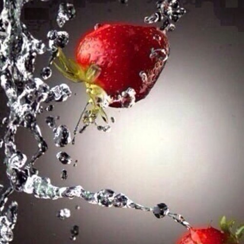 diooomm's profile picture. 