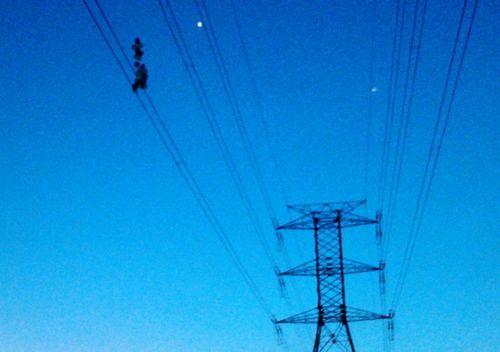 Swartskynsel's profile picture. 