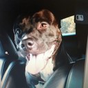 Dan LaBrecque - @dlabrecque27 - Twitter