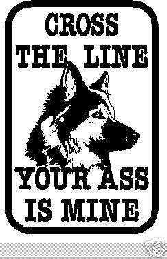 tomerspamer's profile picture. Go Pack Go