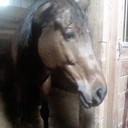 Leslie - @Leslie_AJ - Twitter