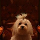 Pam Coleman - @ColemanNet - Twitter