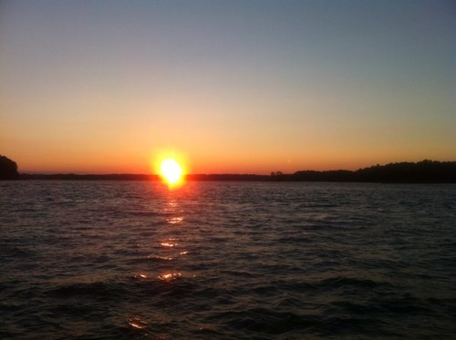 champagnebuzz's profile picture. 