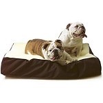 To some, pets are like family and when family is involved you always want to take care of them!