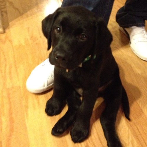 brianh4200's profile picture. 