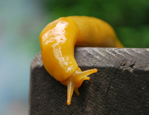 rebeccaj222's profile picture. 