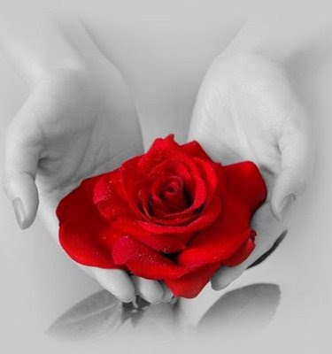 ESTETICA Y BELLEZA