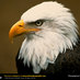 Liberty4All (@liberty4allppl) Twitter profile photo Liberty4All (@liberty4allppl) Twitter profile photo
