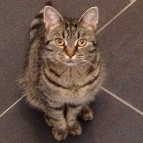 clareabella89's profile picture. 