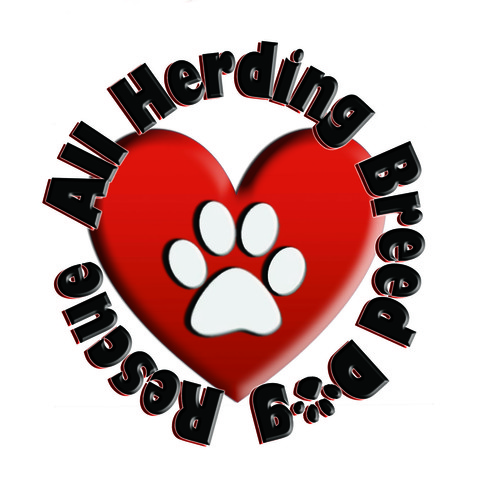 We're a herding specific dog rescue of Illinois. Like us on Facebook at http://t.co/XzWbq978UZ