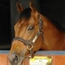 Equiano (@_equiano) Twitter profile photo Equiano (@_equiano) Twitter profile photo