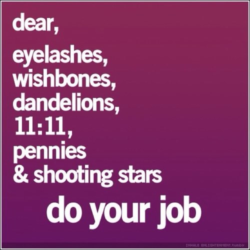 suelandr's profile picture. My only interests are drinking wine and judging people.