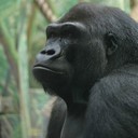 oliver higgins - @oliverhiggins5 - Twitter