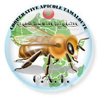 Le projet est conçu pour protéger la race locale des abeilles de l'extinction. L'outil de diversification des sources de revenus des adhérents
