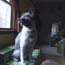 Edith Pelton - @Warnzgirl - Twitter