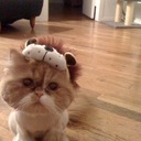 John Farrier - @JohnFarrier - Twitter