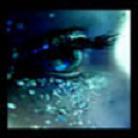 DuvashTruReview's profile picture. Blogger, Gamer, System admin, WebMaster