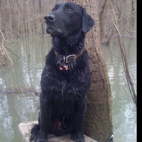 SethSethmann's profile picture. Vols & Braves