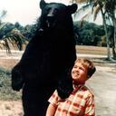 Ben Bicknell - @bicknelltune - Twitter