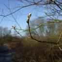 Catherine Simmonds - @Quantockius - Twitter