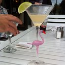 shauna sanchez - @shauna_san - Twitter