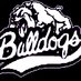 NH Bulldogs Football (@nhhsbulldogsfb) Twitter profile photo