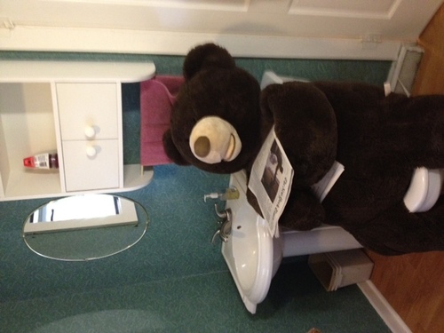 I'm a Big Brown Bear A.K.A the one and only Mr. Cuddles, and  I LOVE cuddling. I use the #mrcuddles as a way to spread love, joy and peace.