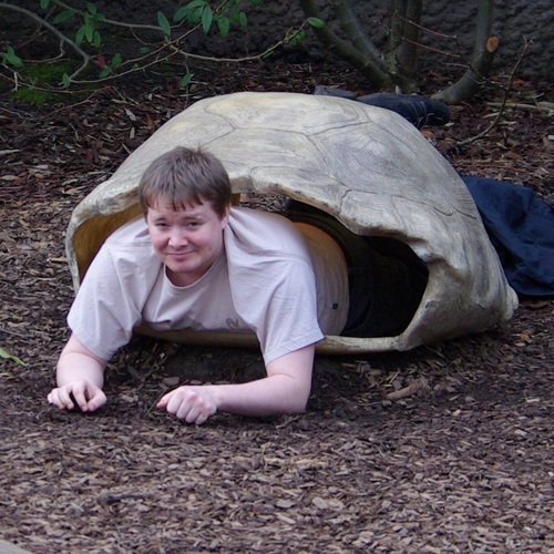 Chubby Tortoise Boy