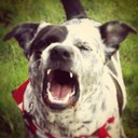 Michael DeLaura - @Corrado_kid - Twitter