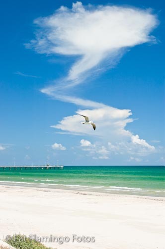 Check out what's happening #OnNorthPadre home to #BobHallPier #PINS and #Schlitterbahn
