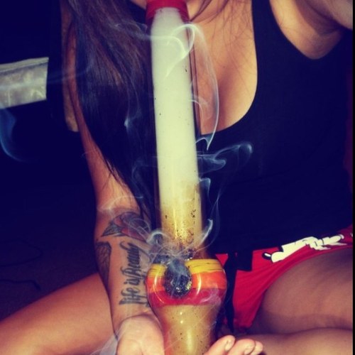 hippie_brunette's profile picture. Opinionated . Brunette . Bitch . Classy . Hippie ✌ . Blow trees  . moli is my main bitch tho . tweeting about the life of a bitchy stoned brunette ❤ #staytrippy