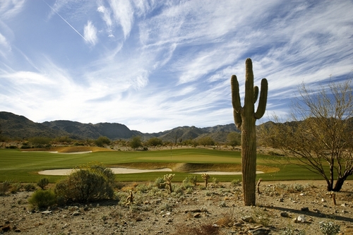 verrado123's profile picture. 