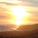 Tamara Franks - @tamblackman - Twitter