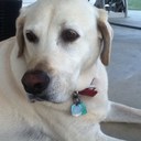 Caleb Ferguson - @_Its_Caleb_ - Twitter