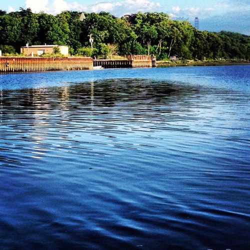 paigeila's profile picture. 