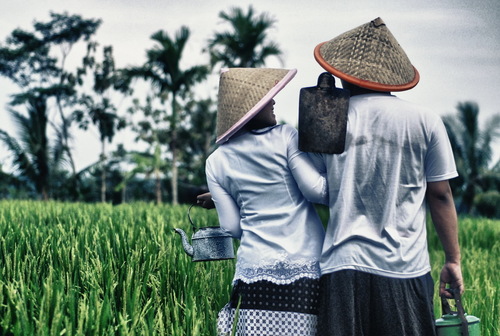 Pendiam  dan Pemalu