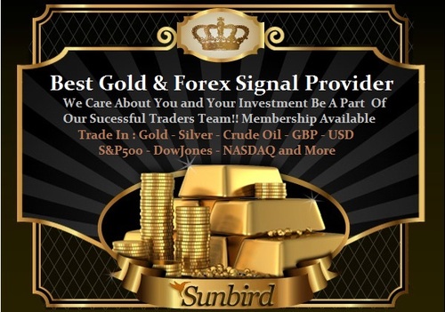 Your One Best Forex and Gold Signal Provider