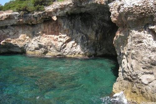 sambeatrice's profile picture. 