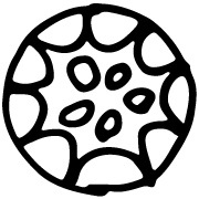 sasakikentaro Profile Picture
