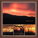 RITA KELLOGG - @ritamae369 - Twitter