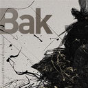 bakmagazine's profile picture. Welcome to Bak, the international visual arts e-magazine