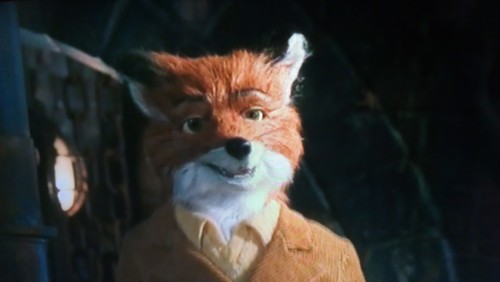 DerbyFox's profile picture. 