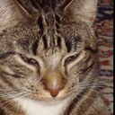 Anna Modin - @annamodin - Twitter