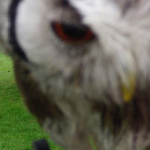 Counrty_Cottage's profile picture. What happens here, stays here.  Tweets by @RobotJedi