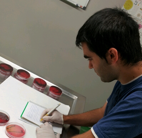 Veterinario-Investigador