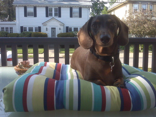 ybenenson1's profile picture. 