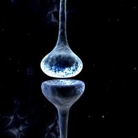 Dundee Psychiatry (@dundeepsych) 's Twitter Profile